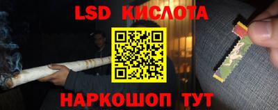 спайс Гусев